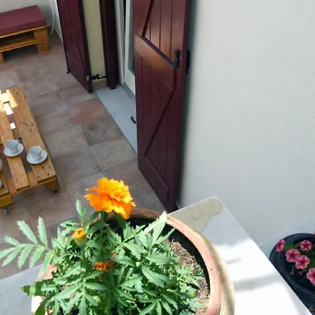 Little Yard Studios & Apartments #1 Naxos City Exterior photo